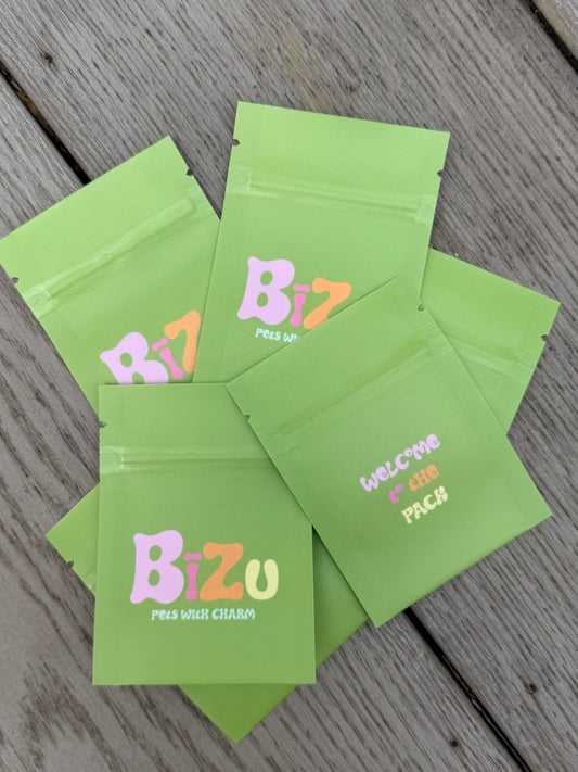 Personalised Pet Charm Collar