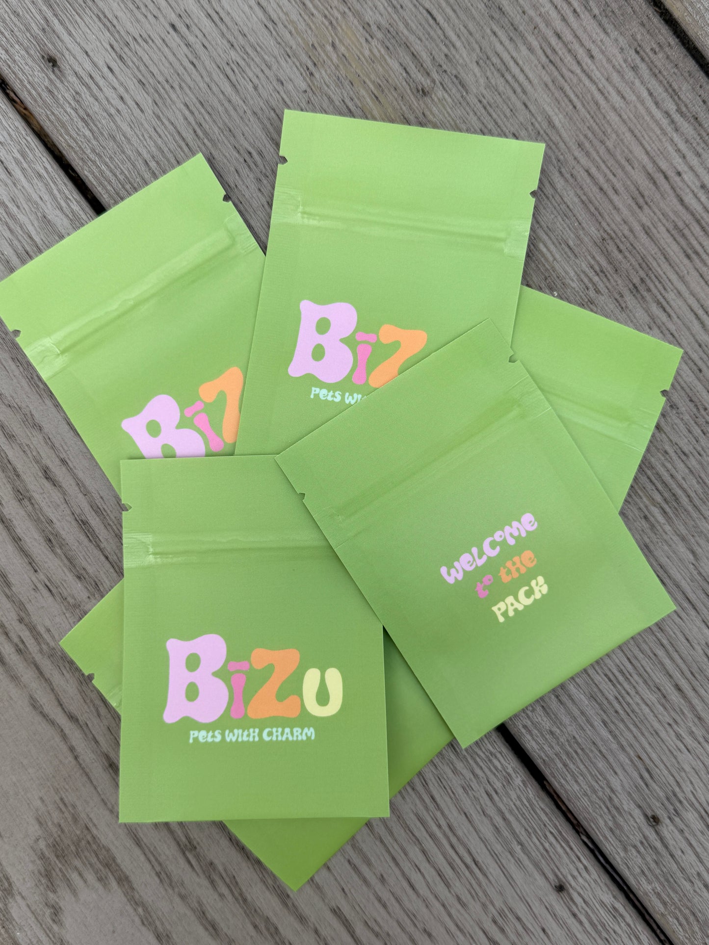 Personalised Pet Charm Collar